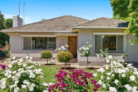 15 Scobie St, Euroa, VIC 3666