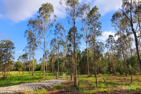 19 Bailey St, Rappville, NSW 2469