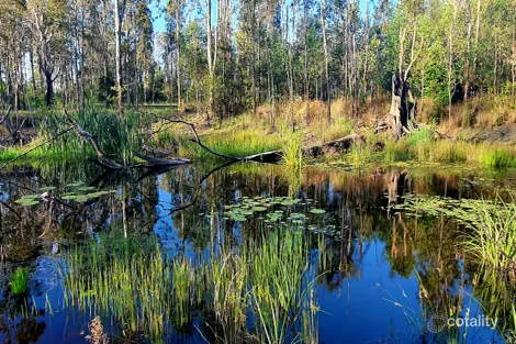 Property photo of 19 Bailey Street Rappville NSW 2469