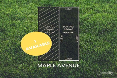 Property photo of 79 Maple Avenue Royal Park SA 5014