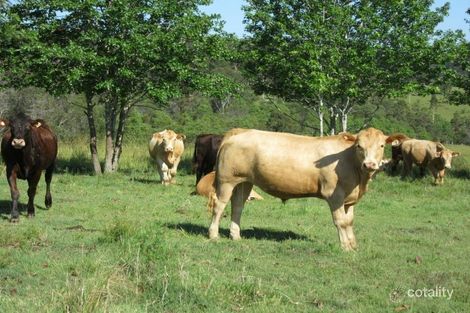 10740 Clarence Way, Tabulam, NSW 2469