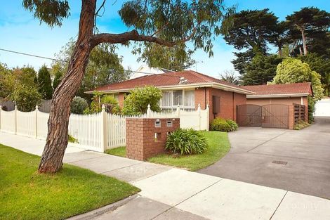 14 Crisp St, Hampton, VIC 3188