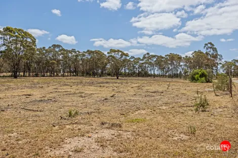 Property photo of 1313 McIvor Highway Longlea VIC 3551