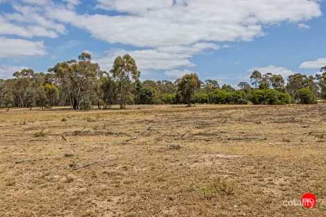 Property photo of 1313 McIvor Highway Longlea VIC 3551