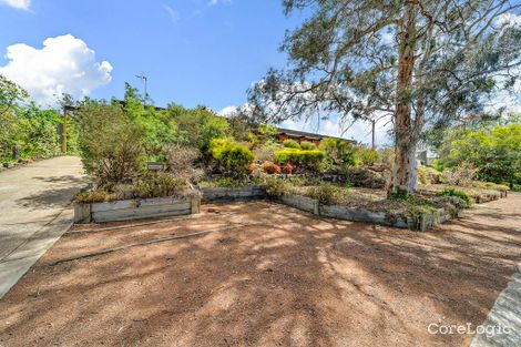 Property photo of 3 Andado Place Hawker ACT 2614