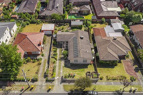 Property photo of 11 Larch Crescent Mount Waverley VIC 3149
