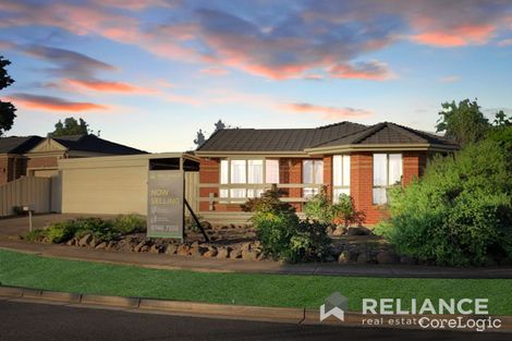 Property photo of 19 Darlingsford Boulevard Melton VIC 3337