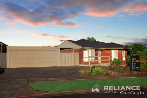 Property photo of 19 Darlingsford Boulevard Melton VIC 3337