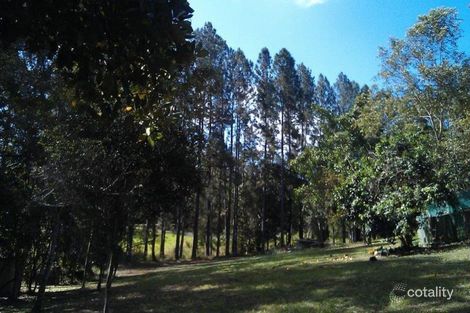 Property photo of 138 Euluma Creek Road Julatten QLD 4871