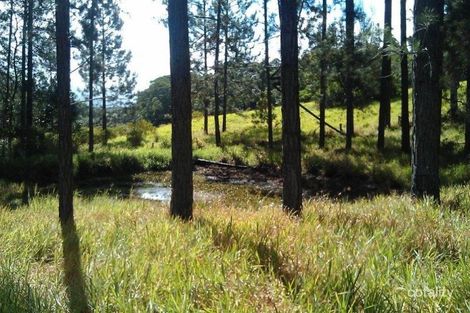 Property photo of 138 Euluma Creek Road Julatten QLD 4871