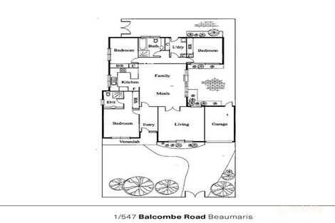Property photo of 1/547 Balcombe Road Black Rock VIC 3193