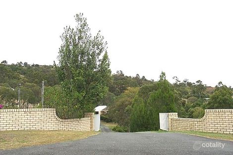 Property photo of 19 Mobbs Place Ormeau QLD 4208