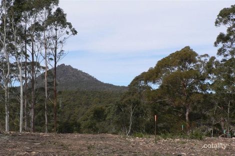 7461 Esk Main Rd, St Marys, TAS 7215