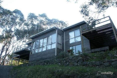 Property photo of 16 Summerhills Avenue Lorne VIC 3232