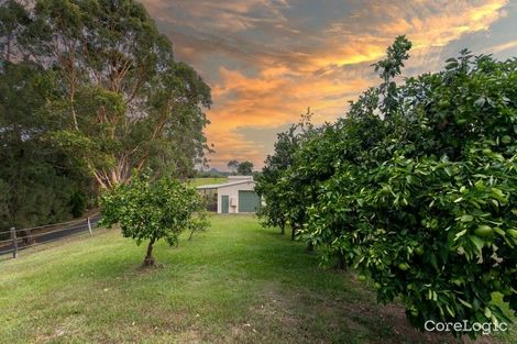 Property photo of 28 Crows Ash Lane Black Mountain QLD 4563