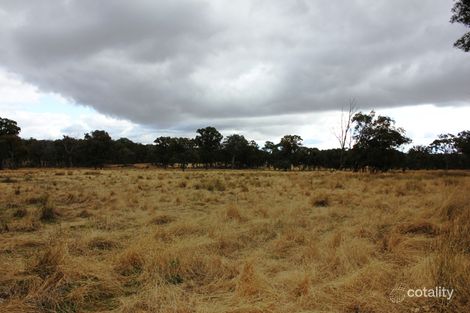 Property photo of 13022 Guyra Road Tingha NSW 2369