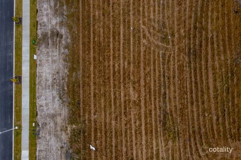 Property photo of 23 Ascot Circuit Palmview QLD 4553