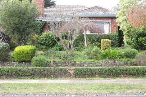 3 Alonso St, Glen Iris, VIC 3146