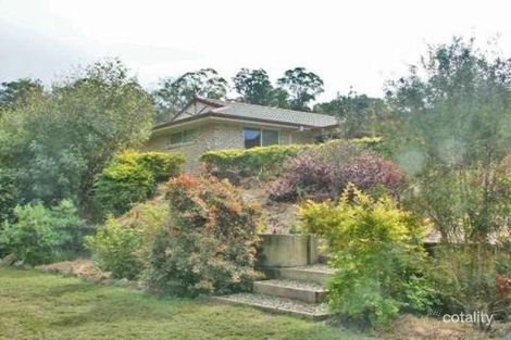 Property photo of 15 Bushbird Court Diddillibah QLD 4559