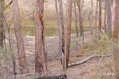 Property photo of 142 Th Burns Road Ballogie QLD 4610