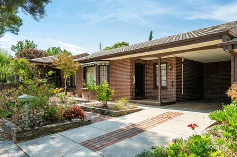 2/515 Fullarton Rd, Netherby, SA 5062