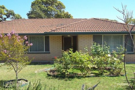 5 Campbell St, Millicent, SA 5280