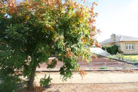 Property photo of 41 Castle Street Edwardstown SA 5039