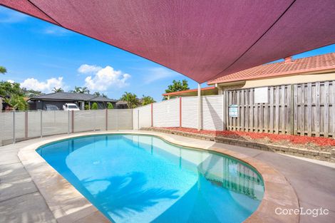 Property photo of 3 Palm Street Pacific Pines QLD 4211