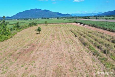 Property photo of 736 Old Tully Road Djarawong QLD 4854