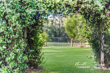 Property photo of 11 Hillview Court Wamuran QLD 4512