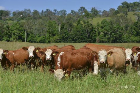 12843 Summerland Way, Cedar Point, NSW 2474