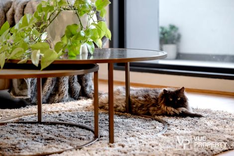 Property photo of 101/6 Saunders Close Macquarie Park NSW 2113