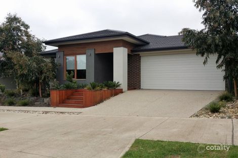 Property photo of 19 Galloway Drive Mernda VIC 3754