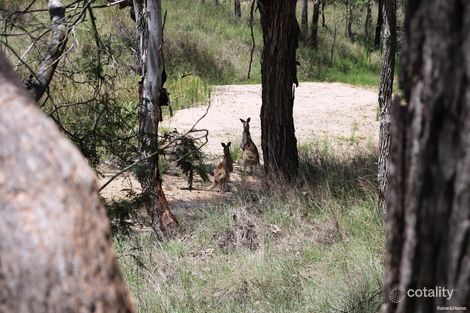 Property photo of 27 Wonga Crescent Ballogie QLD 4610