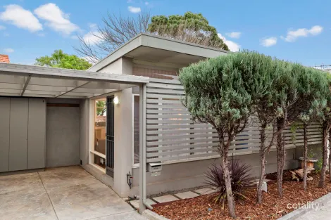 3/279 New St, Brighton, VIC 3186