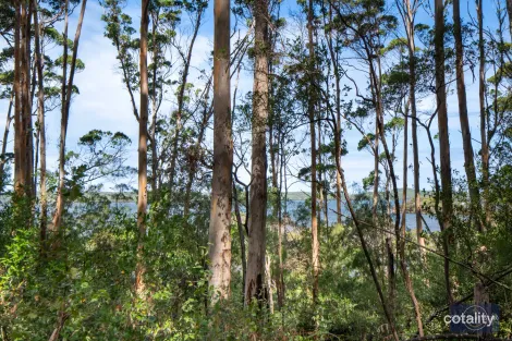 10 Payne Rd, Denmark, WA 6333