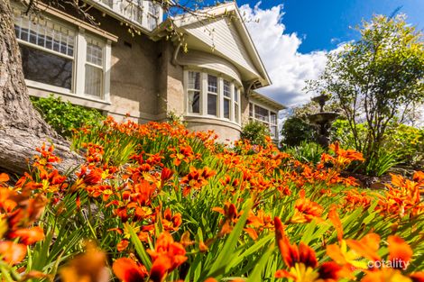 Property photo of 5 Trotsford Crescent Newstead TAS 7250