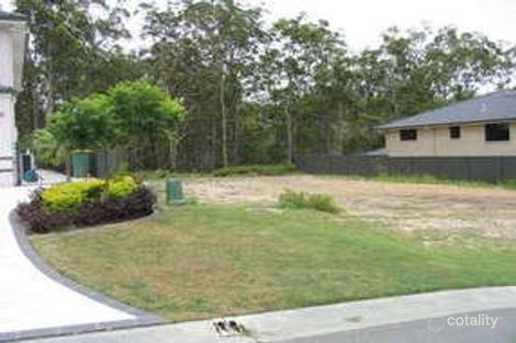 Property photo of 16 Rosegum Drive Molendinar QLD 4214