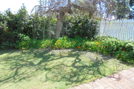 Property photo of 17 Chamberlain Street North Perth WA 6006