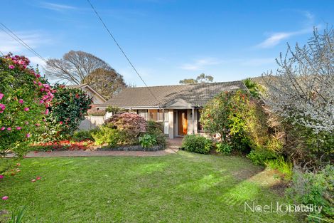 Property photo of 13 Thelma Avenue Boronia VIC 3155
