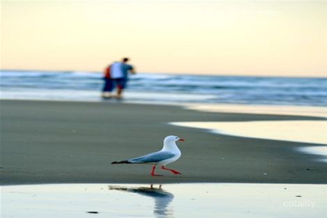 Property photo of 2/6 Albion Avenue Miami QLD 4220