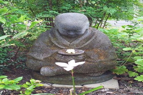 11 Magnolia St, Nambour, QLD 4560