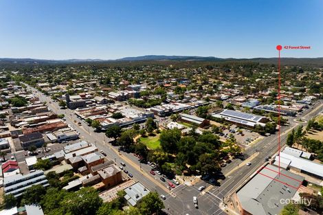 42 Forest St, Castlemaine, VIC 3450