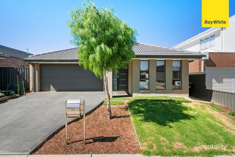 14 Coral St, Cobblebank, VIC 3338