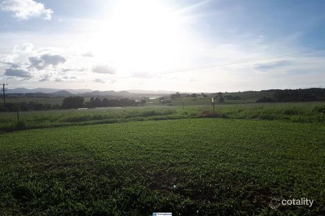 Property photo of 48 Wrights Creek Road Lake Eacham QLD 4884