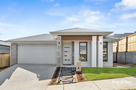 20 Delphinus Vsta, South Ripley, QLD 4306