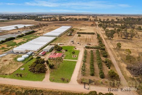 165 Horseshoe Cres, Two Wells, SA 5501