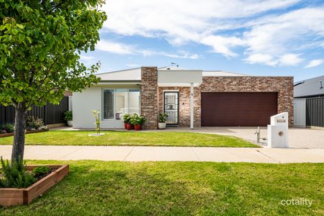6 Thornton Ave, St Leonards, VIC 3223
