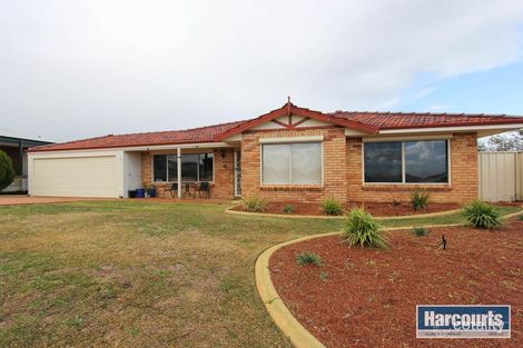 10 Hinchinbrook Ave, Ridgewood, WA 6030