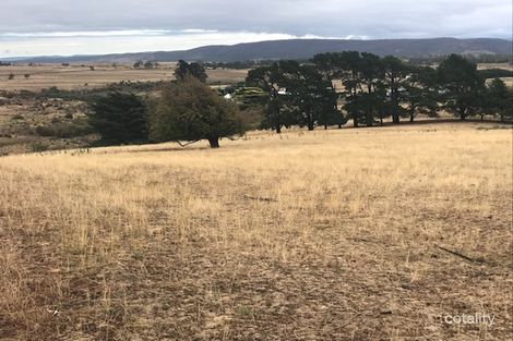 25 Power St, Campbell Town, TAS 7210